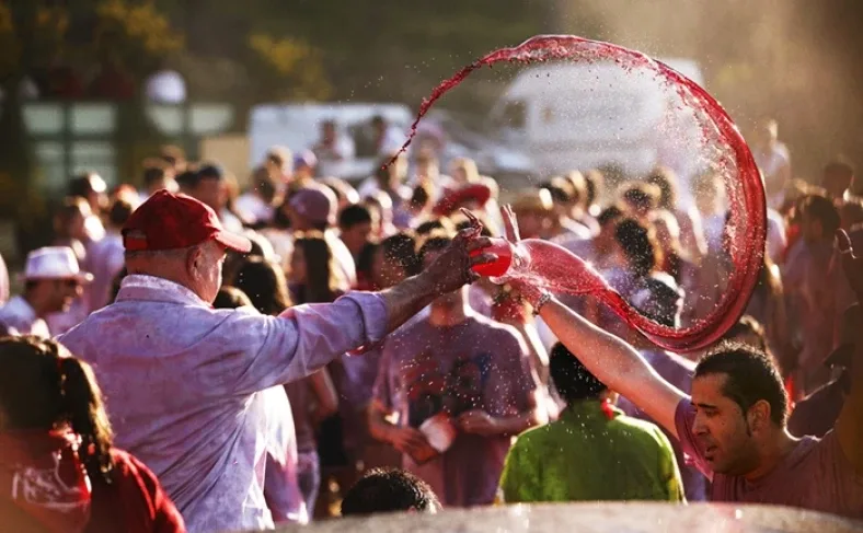 На изображении, люди обливают друг друга вином, Фестиваль в Испании 