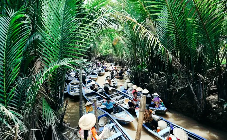 На изображении, Дельта реки Меконг, Вьетнам фото